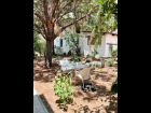 Garden view of Studios & Bodega