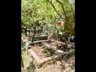 Beds for vegetable garden