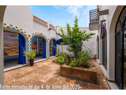 18  Courtyard with Persian Lemon Tree
