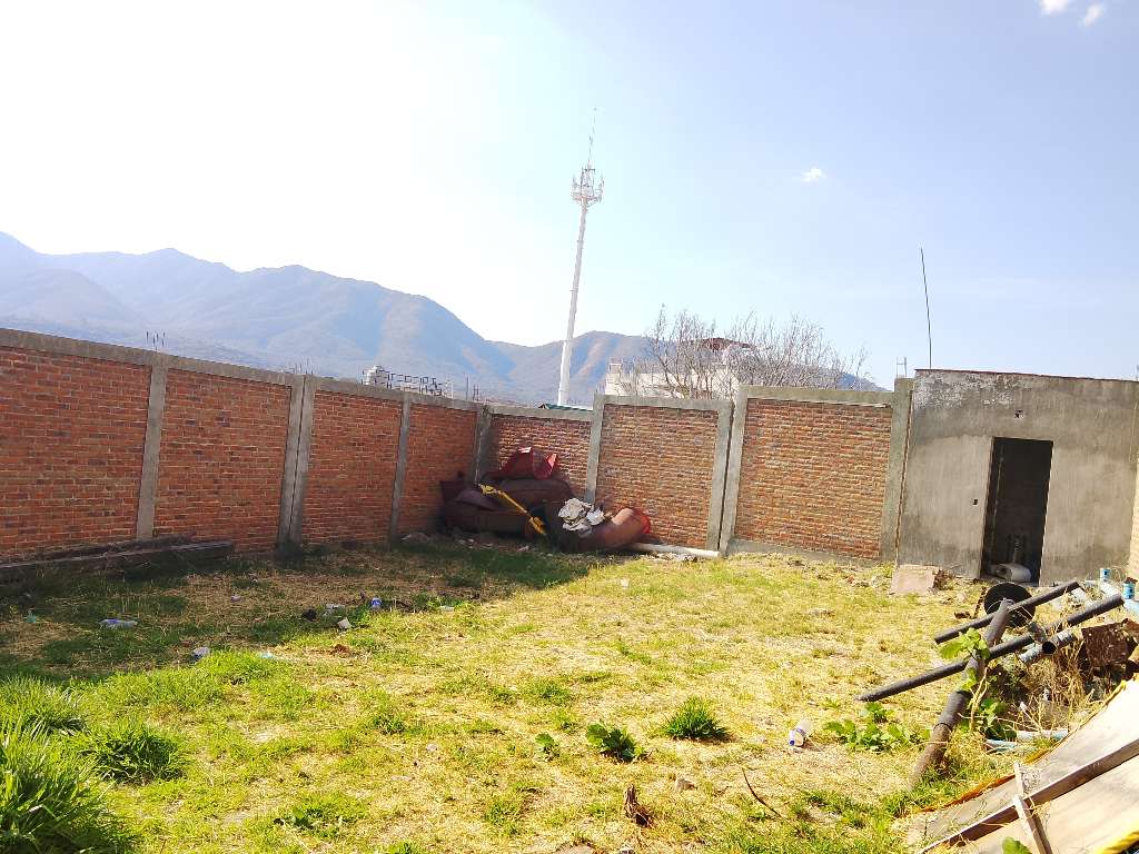 IMG20260415170134