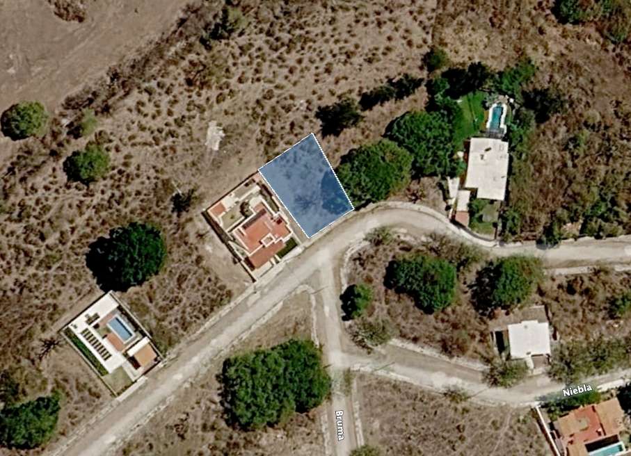 L22 MZ11