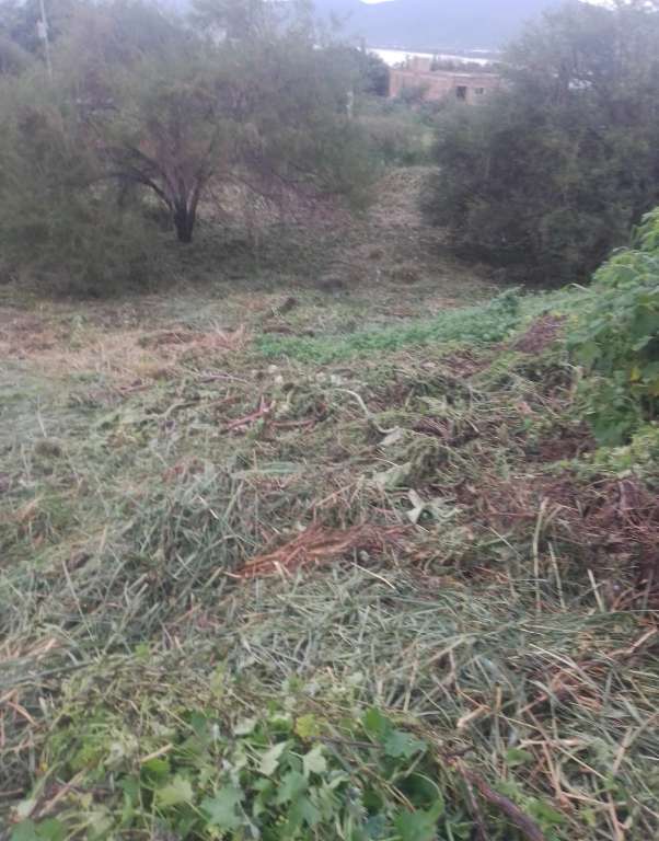 WhatsApp Image 2026-08-02 at 1.44.04 PM (2)