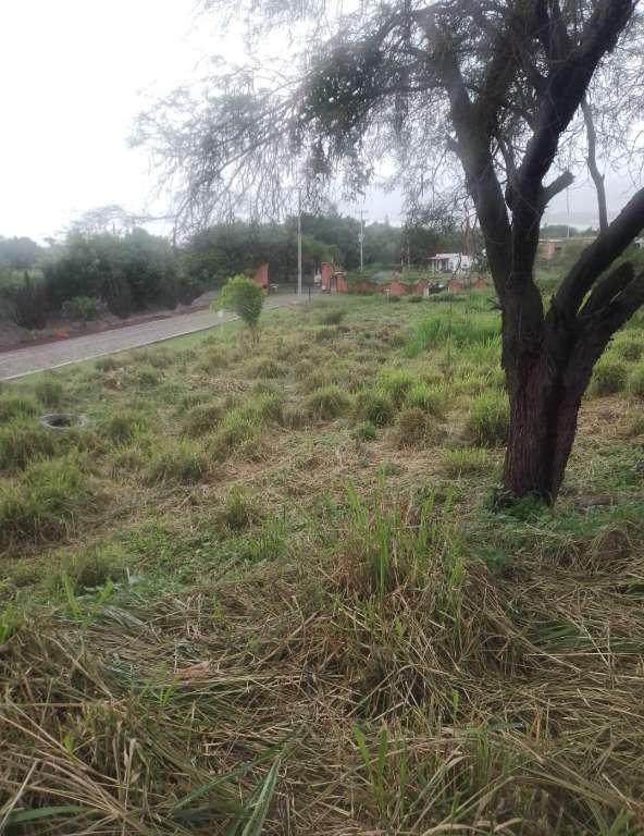 WhatsApp Image 2026-08-02 at 1.44.04 PM (3)