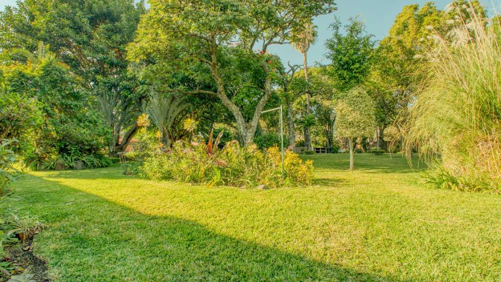 Villa Formosa Jardines (5)