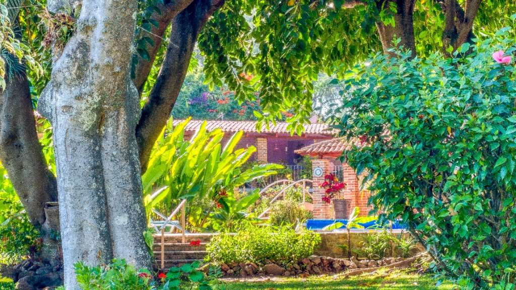 Villa Formosa Jardines (2)