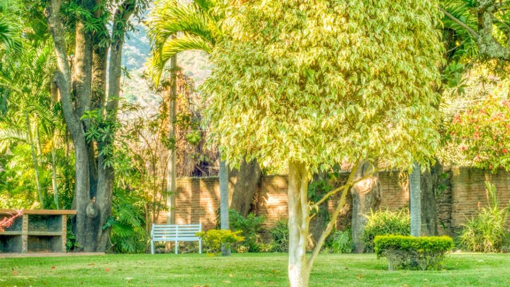 Villa Formosa Jardines (4)