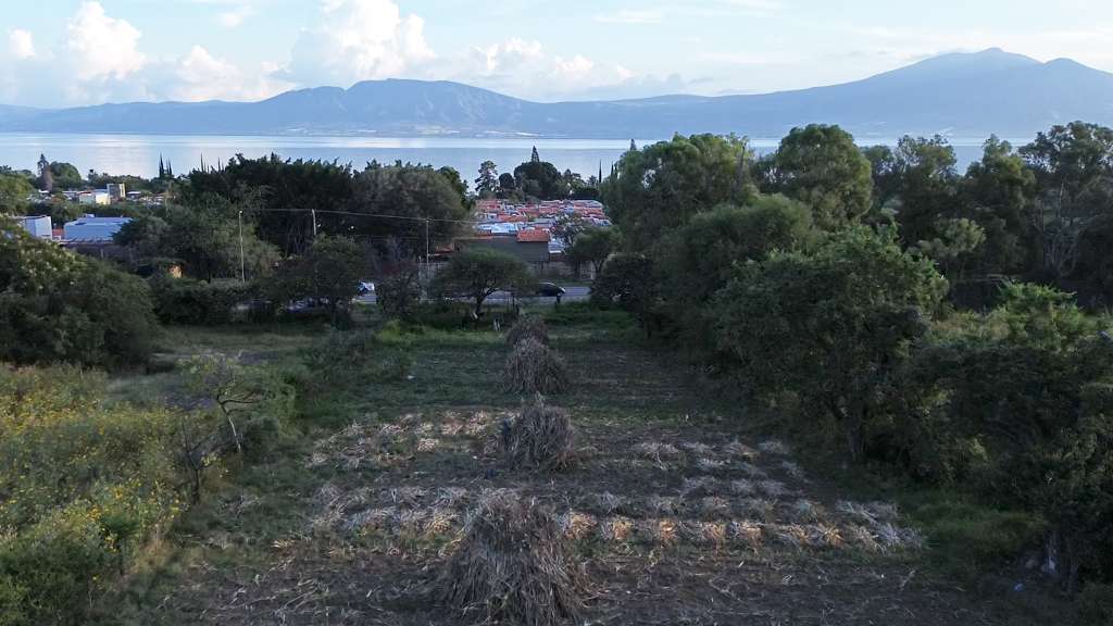 El Camichín-3