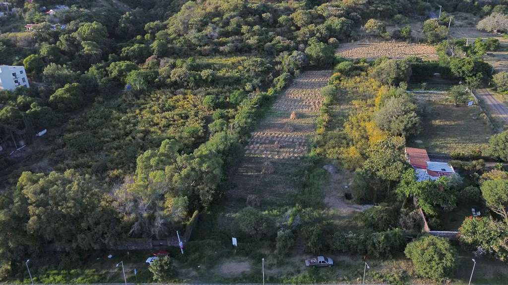 El Camichín-7