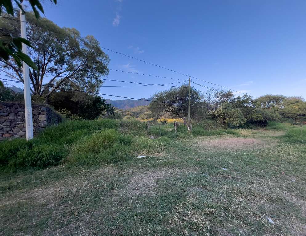 El Camichín-10