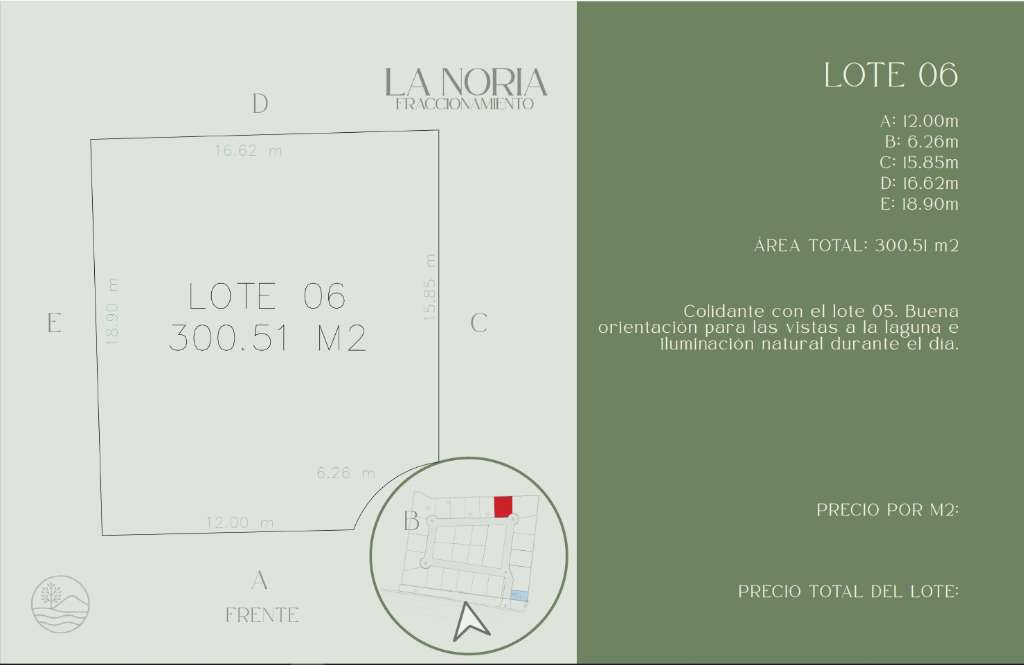 Lote 6