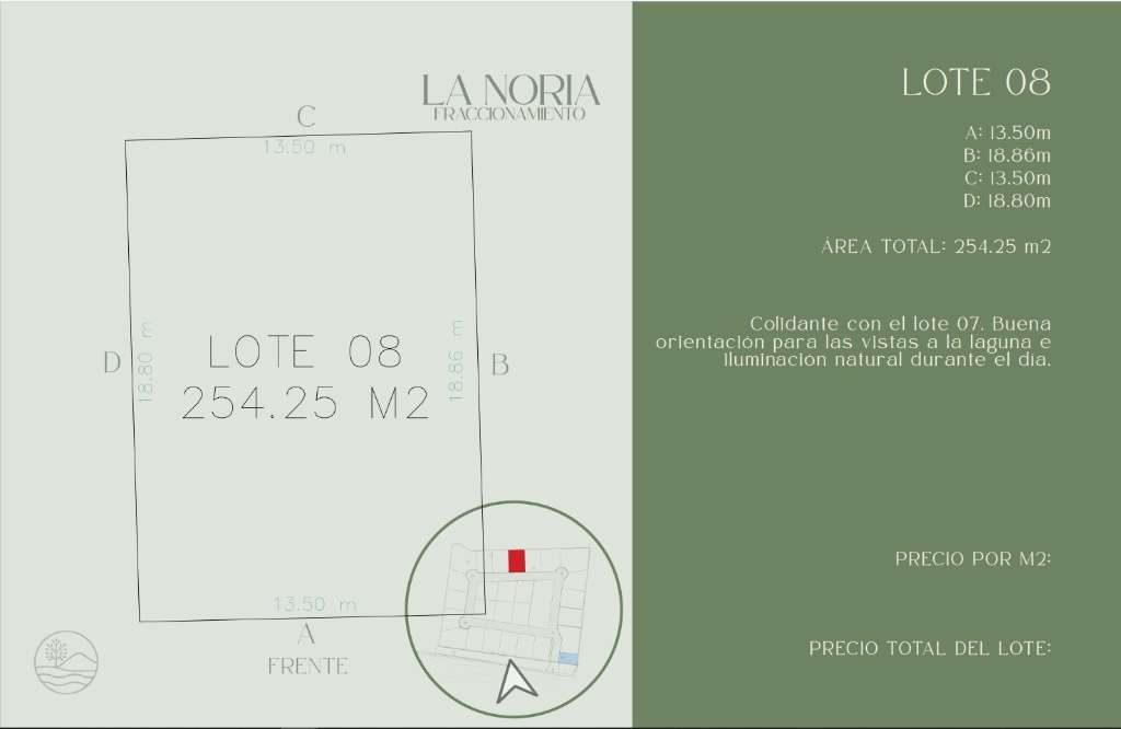 Lote 8