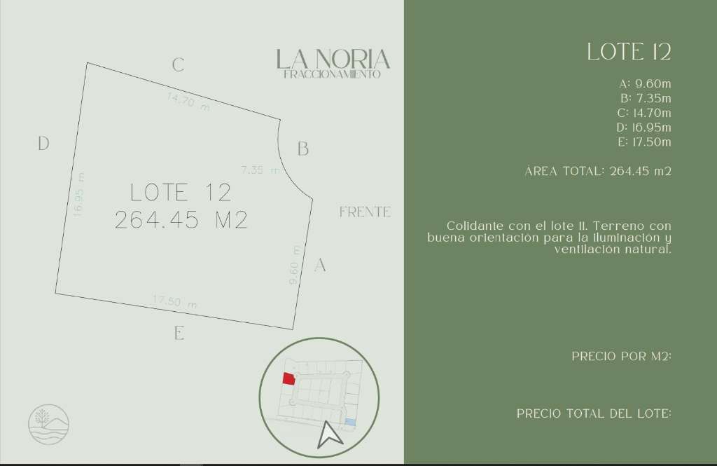 Lote 12