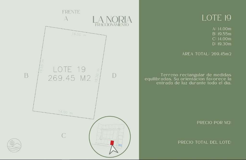 Lote 19