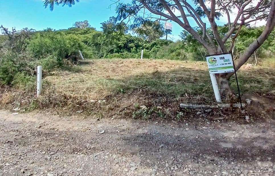 LOTE-7