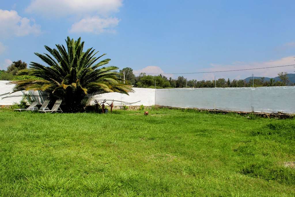 Yard