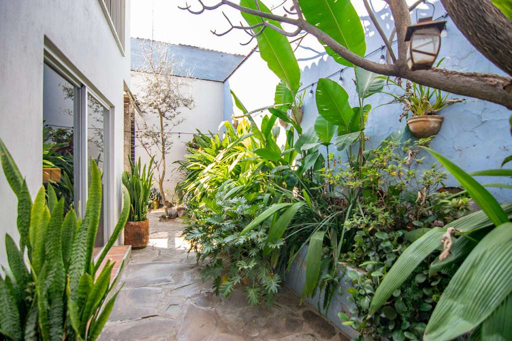 09-Traditional-meets-modern-jardin