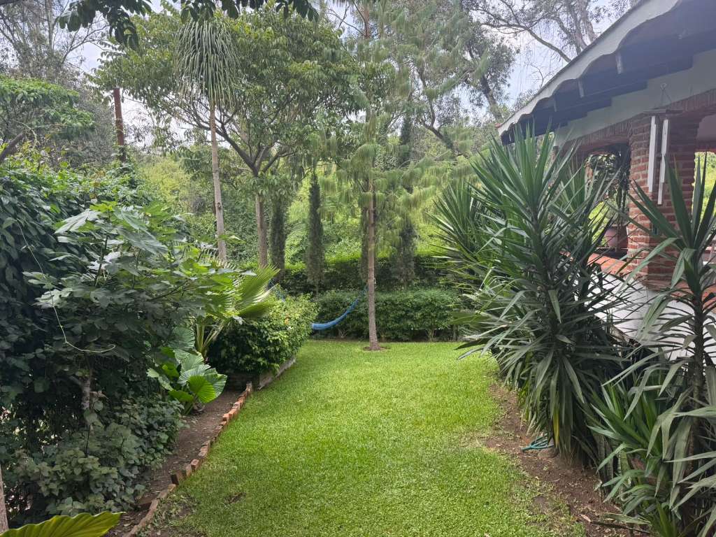 Jardin