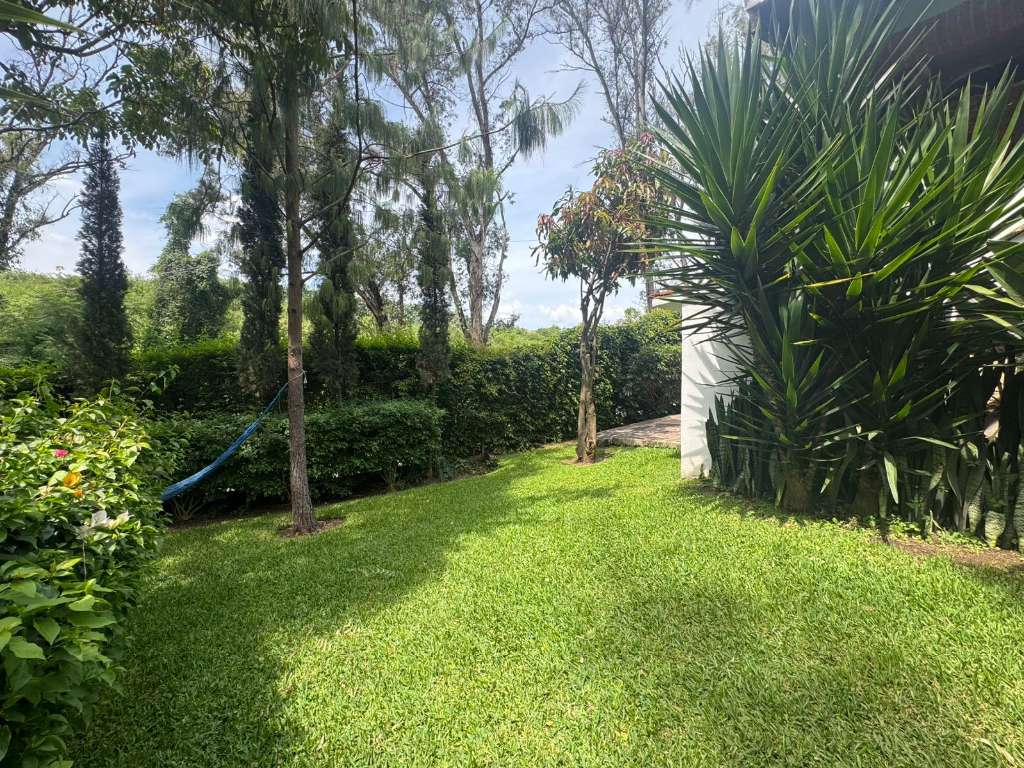 Jardin