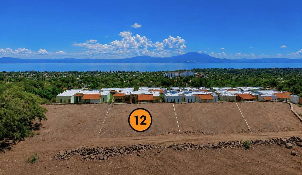 LOTE 12
