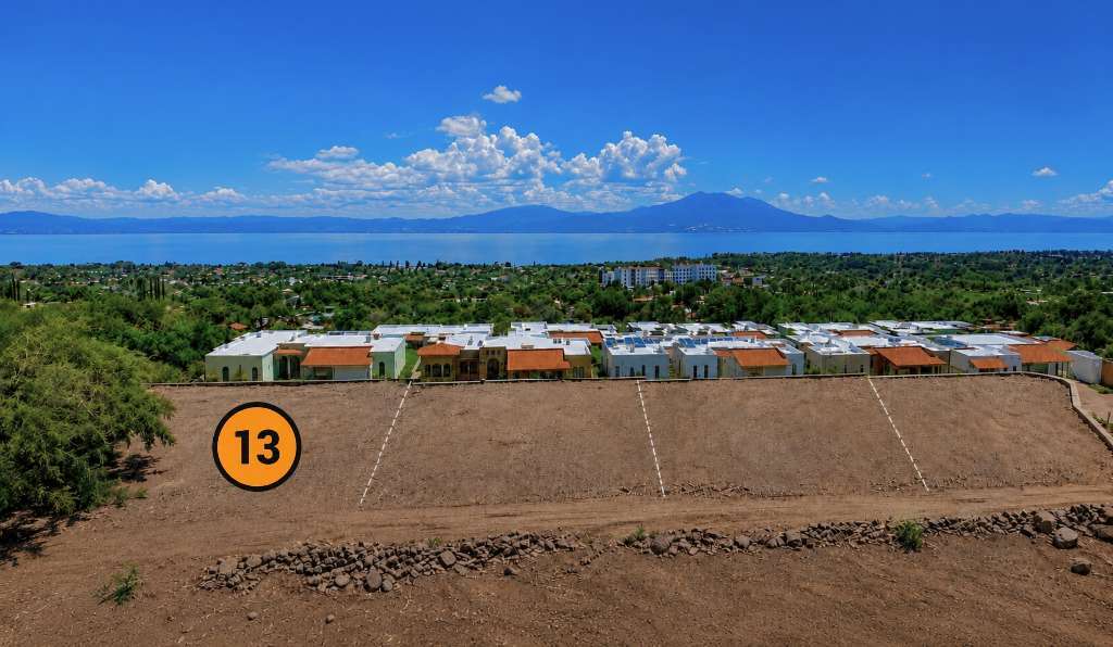 LOTE 13