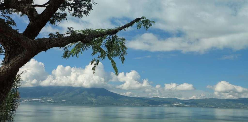 AKALANI04