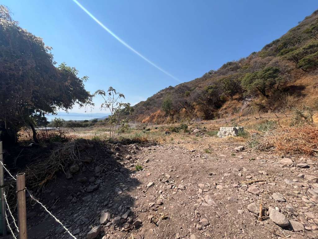 11041_2_lote_mariposa