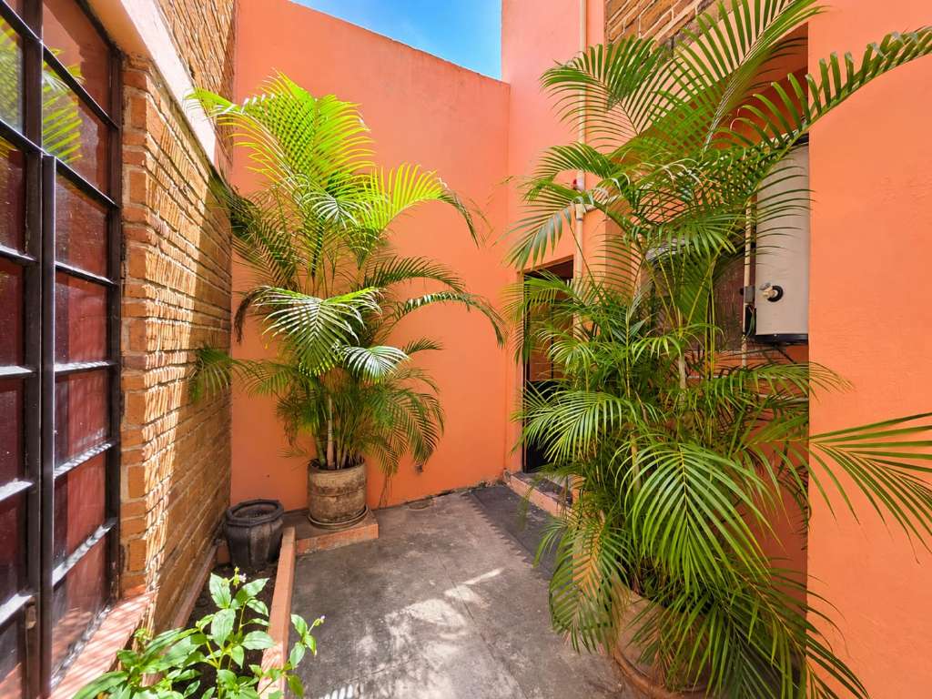 11.PATIO 1