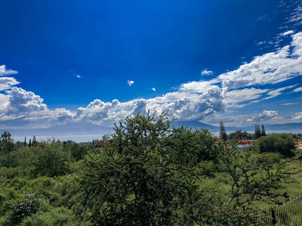 IMG_0733