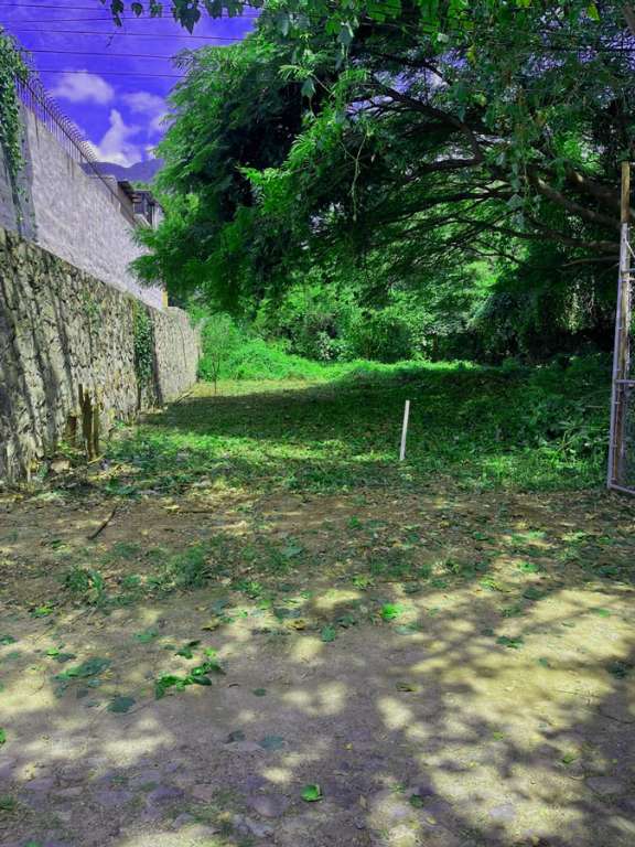02-TIO-DOMINGO-LOT-BARBOSA