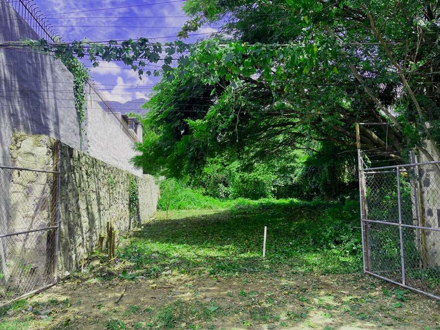 01-TIO-DOMINGO-LOT-BARBOSA
