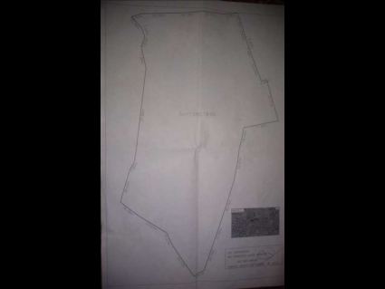 Croquis Nuevo 