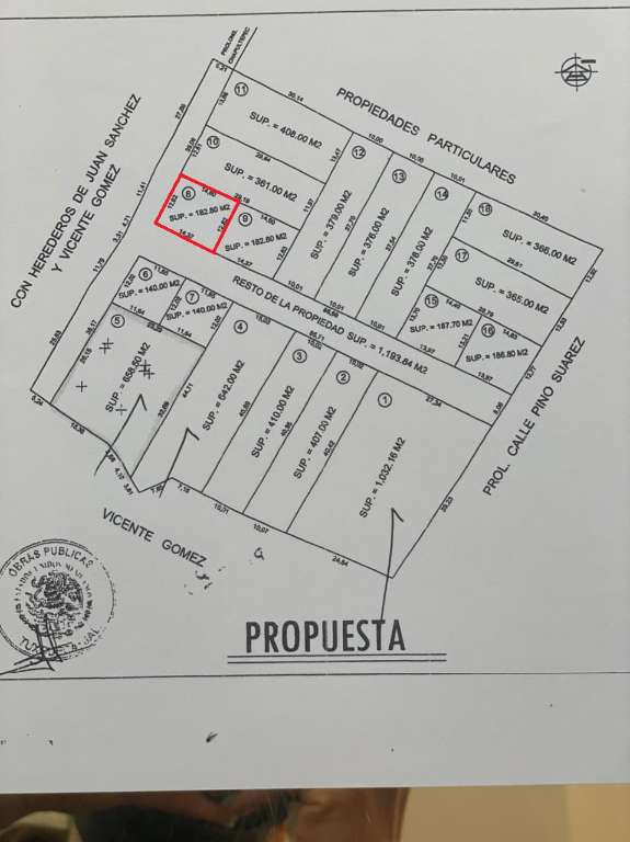 lote 8