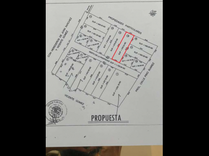 lote 14