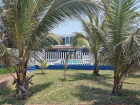 17 Private Palm Grove Beach Terrace