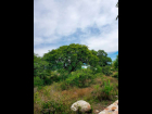 Yaver-Lot-for-Sale-in-San-Nicolás-de-Ibarra (2)