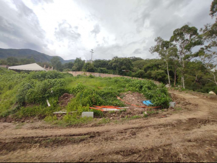  vista panorama (1)