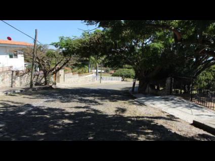 9-IMG_4498
