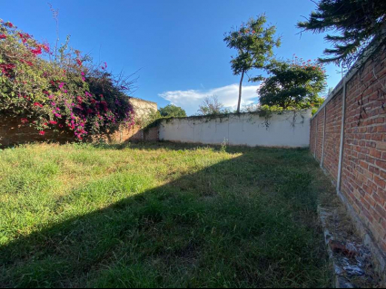 Floresta-15