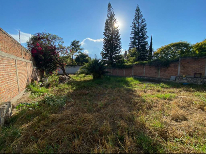 Floresta-8