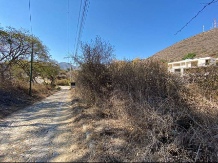 TERRENO CHAPALA H. -12