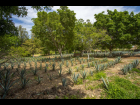 jardín