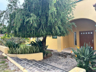 Casa-Lucia-Home-for-sale-in-Tlachichilco-San-Juan-Tecomatlan (3)